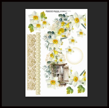 Daffodils Scrappable A4 print Min buy 5